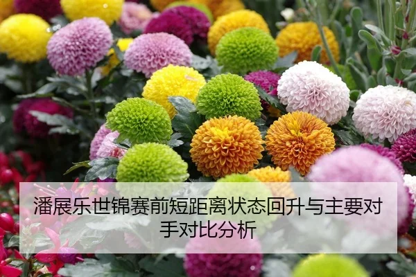 潘展乐世锦赛前短距离状态回升与主要对手对比分析
