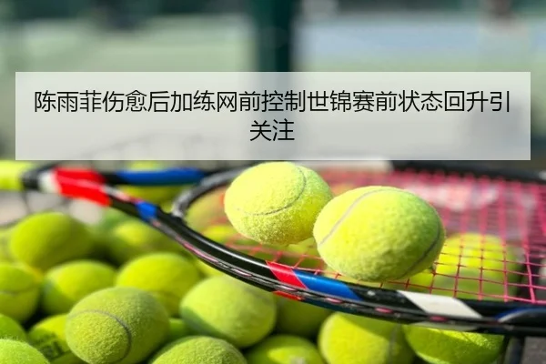 陈雨菲伤愈后加练网前控制世锦赛前状态回升引关注