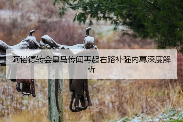 阿诺德转会皇马传闻再起右路补强内幕深度解析